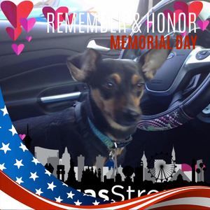 Meet your Posher, Patricia